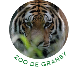 Zoo de granby