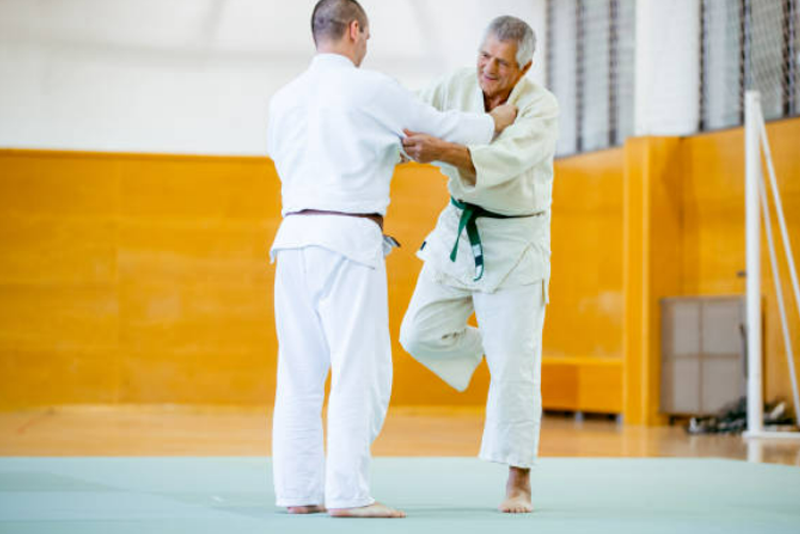 Cours de judo adulte